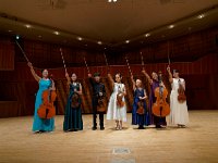 AC 00256縺ｮ繧ｳ繝偵ｚ繝ｼ-ARW